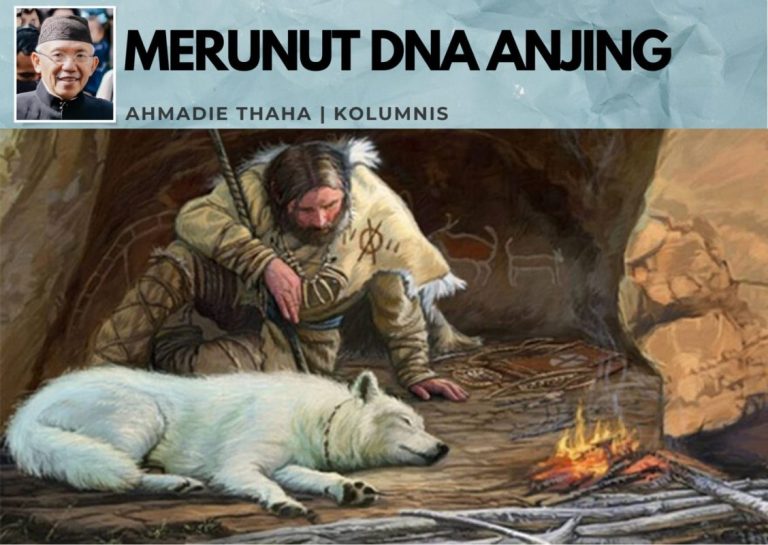 Merunut DNA Anjing