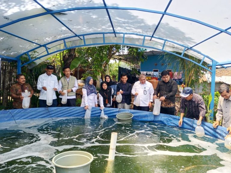 DT Peduli-Pelindo Kembangkan Tambak Warga Lakkang, Tebar 100.000 Bibit Udang Windu