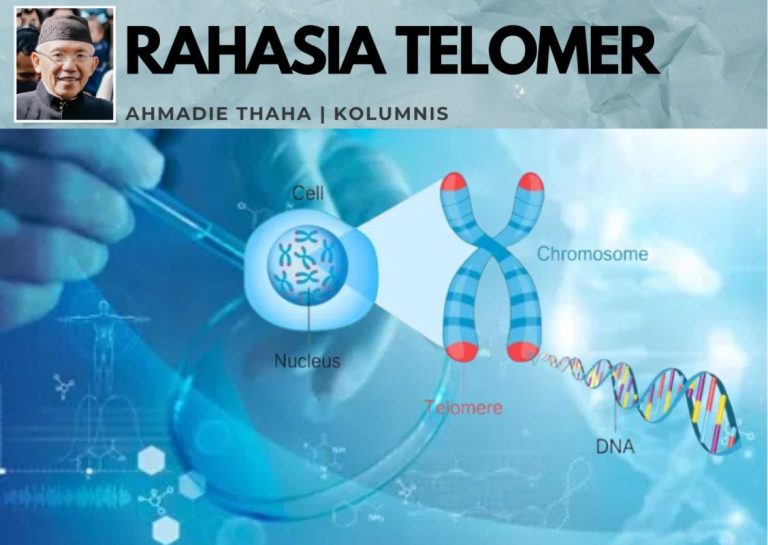 Rahasia Telomer