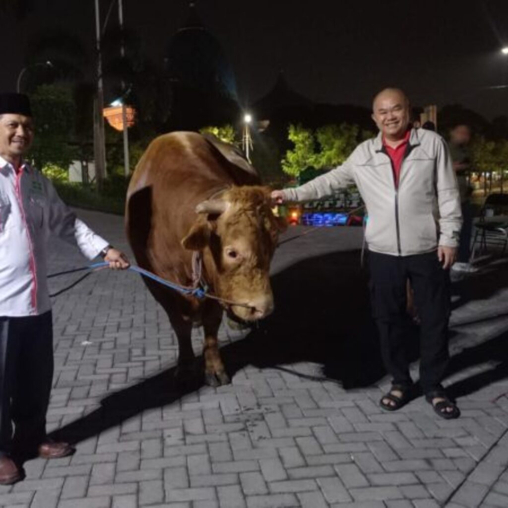 Sapi Kurban 1,1 Ton dari Khofifah Tiba di PWNU Jatim, Simbol Kedekatan Pemprov dan Nahdliyin