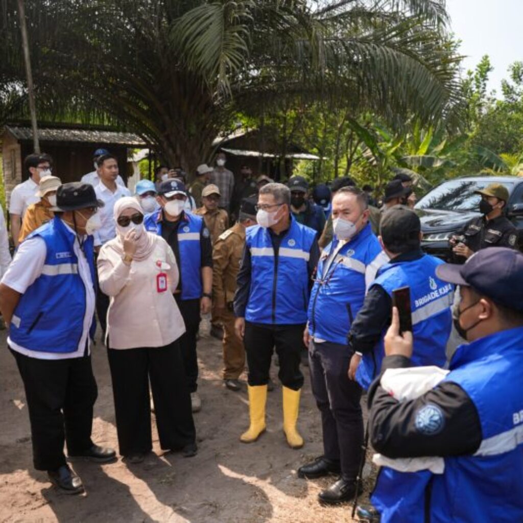 KLH Segel 50 Badan Usaha, 27.333 Hektare Konsesi Terbakar
